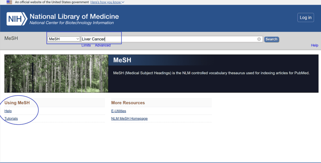 البحث عن أول مصطلح طبي باستخدام قاعدة بيانات MeSH في موقع ببمد (PubMed) 