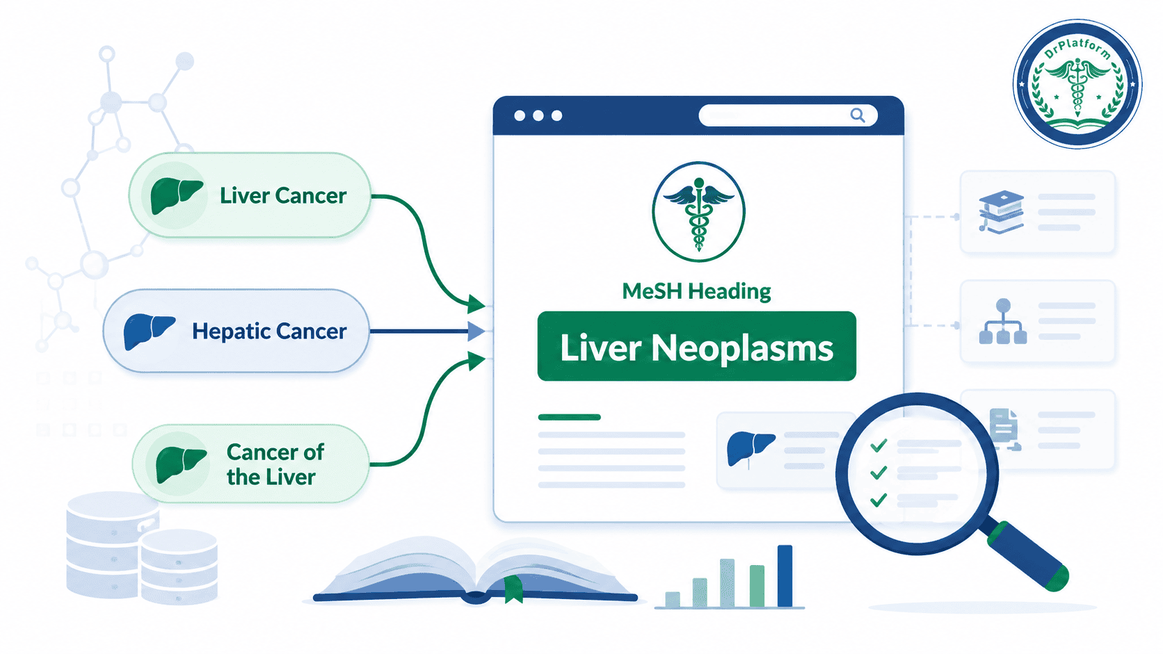 Medical infographic showing liver cancer terms (Liver Cancer, Hepatic Cancer, Cancer of the Liver) feeding into a web page labeled MeSH Heading 'Liver Neoplasms' with a magnifying glass examining the content.